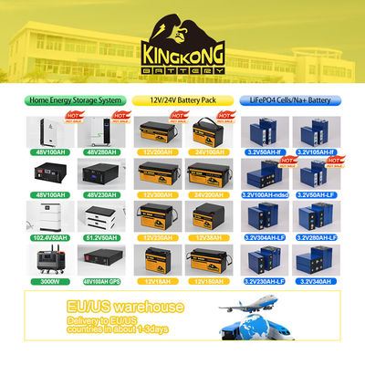 BT Funzione BS 16S 51.2V 100A 200A Smart 48V BMS per batteria Lifepo4 e Rs485 Can Port