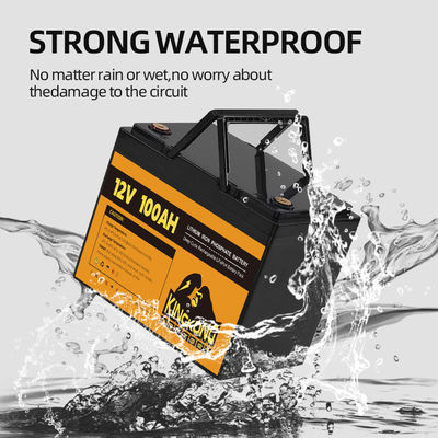 12.8V 50Ah 100Ah 200Ah 300Ah 12V Lifepo4 Battery Pack per elettrodomestici con BMS