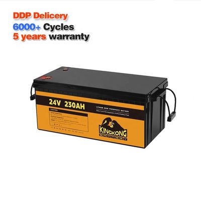24V 50Ah 60Ah 100Ah 200Ah 230Ah 300Ah 400Ah 460Ah Batteria al litio in ferro LifePo4 con BMS