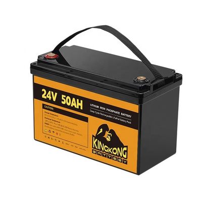 24V 50Ah 60Ah 100Ah 200Ah 230Ah 300Ah 400Ah 460Ah Batteria al litio in ferro LifePo4 con BMS