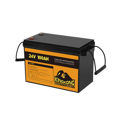 24V 50Ah 60Ah 100Ah 200Ah 230Ah 300Ah 400Ah 460Ah Batteria al litio in ferro LifePo4 con BMS