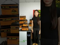 12V 48V 120Ah 150Ah 170Ah 200Ah 300Ah LiFePO4 batteria agli ioni di litio per sottomarini