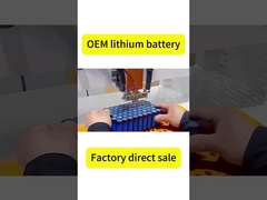 Batteria al litio OEM