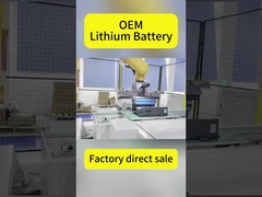 Batteria al litio OEM