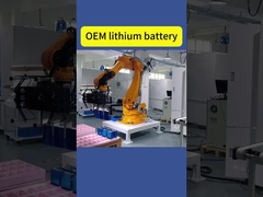 Batteria al litio OEM