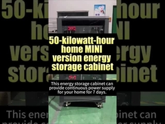 Questa riserva di energia domestica elimina la preoccupazione per gli interruzioni di corrente a casa