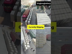 Home Immagazzinamento dell'energia Garanzia della qualità della consegna globale