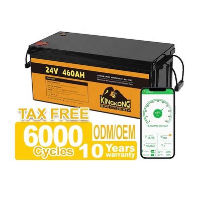 24V 50Ah 60Ah 100Ah 200Ah 230Ah 300Ah 400Ah 460Ah Batteria al litio in ferro LifePo4 con BMS