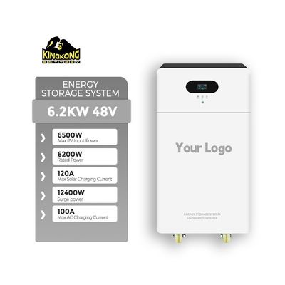 3Invertitore solare monocristallino al silicio a doppia uscita da.6KW con batteria al litio da 24V 100Ah